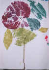 DESSIN2 CPCE1.JPG (198152 octets)