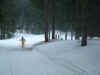 ski17.JPG (145799 octets)